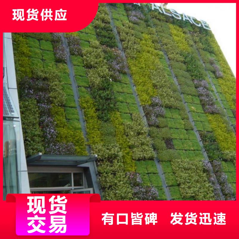 【三维植被网-双向拉伸土工格栅一站式采购】