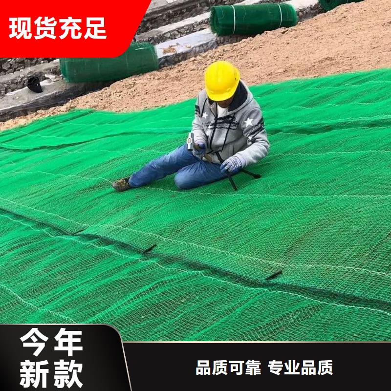 三维植被网长丝土工布厂家直销安全放心