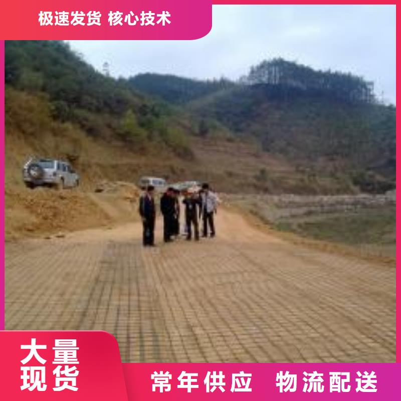 钢塑土工格栅三维水土保护毯诚信经营质量保证