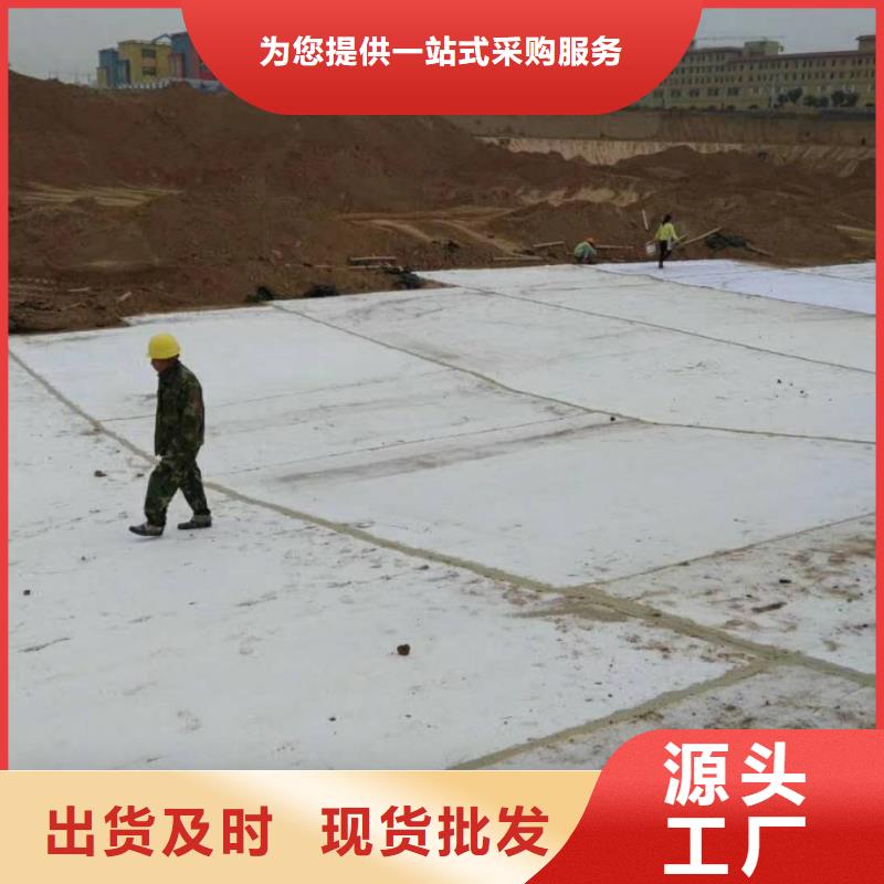 防水毯双向塑料土工格栅诚信商家服务热情