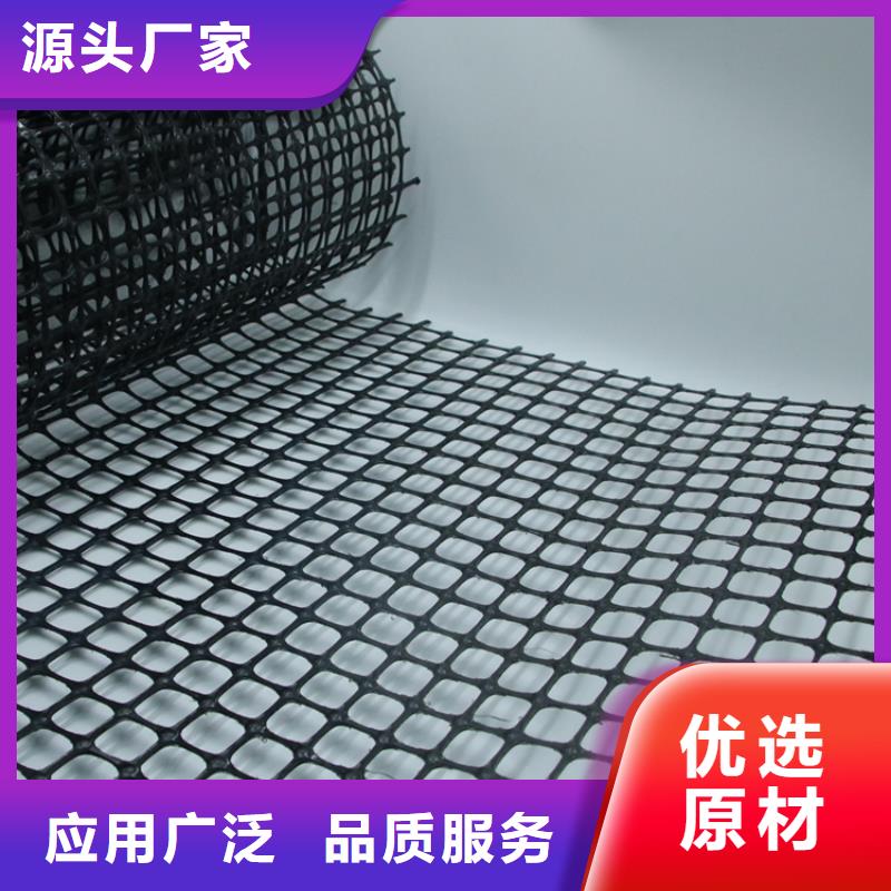 土工格栅_三维植被网厂家做工精细