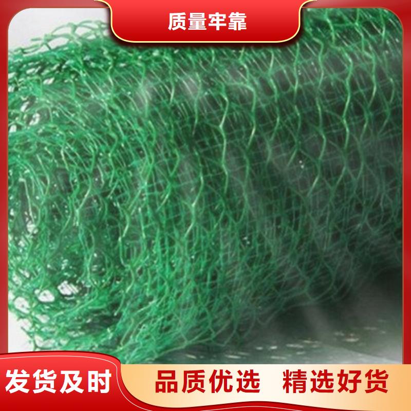 三维植被网三维水土保护毯买的是放心