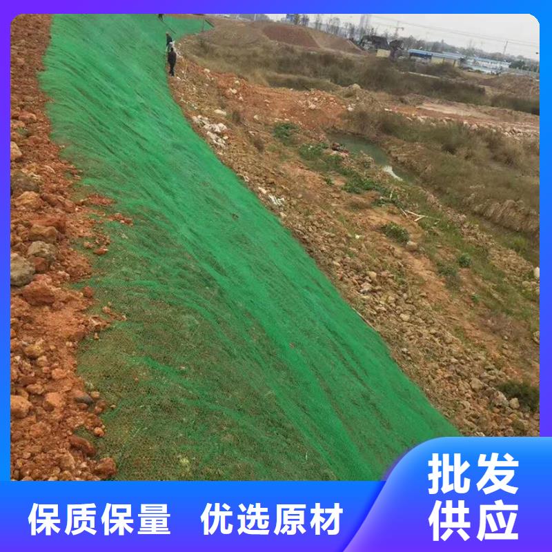 三维植被网-玻璃纤维土工格栅好产品好服务