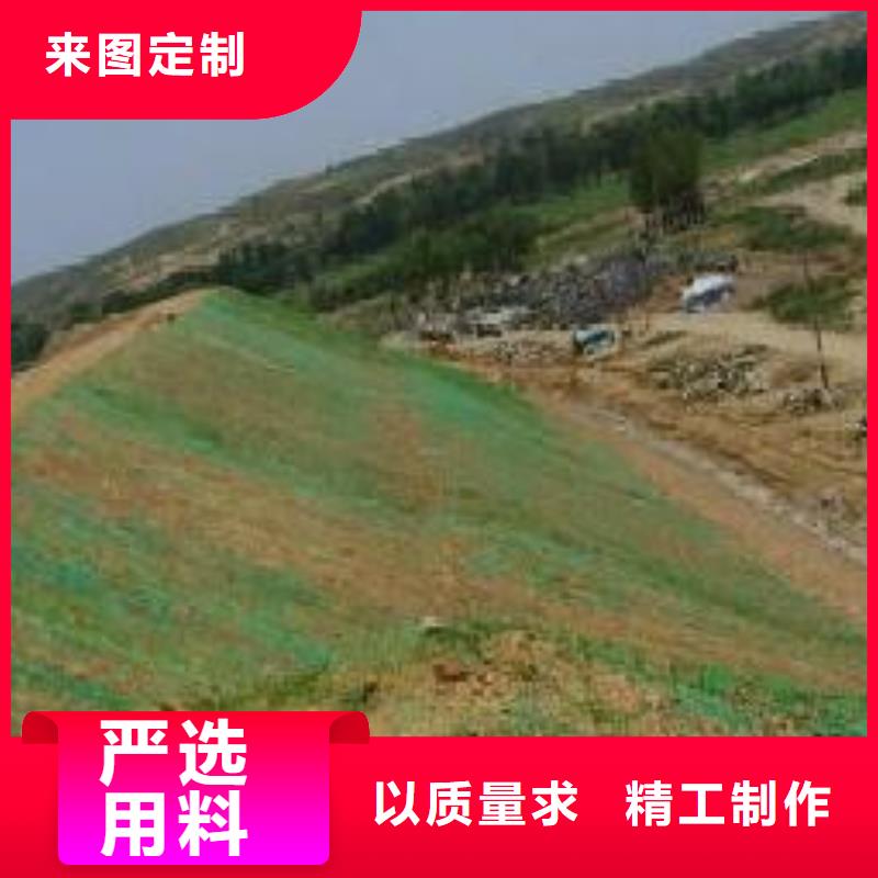 三维植被网-玻璃纤维土工格栅型号全价格低