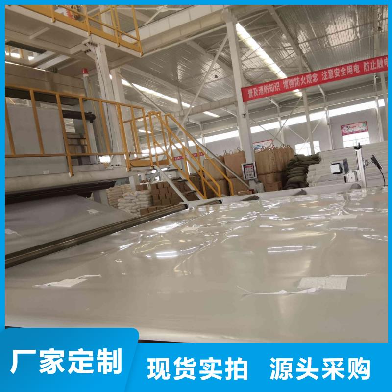 EVA防水板-双向塑料土工格栅自营品质有保障