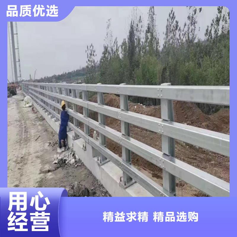 防撞护栏【市政道路防护栏】种类多质量好