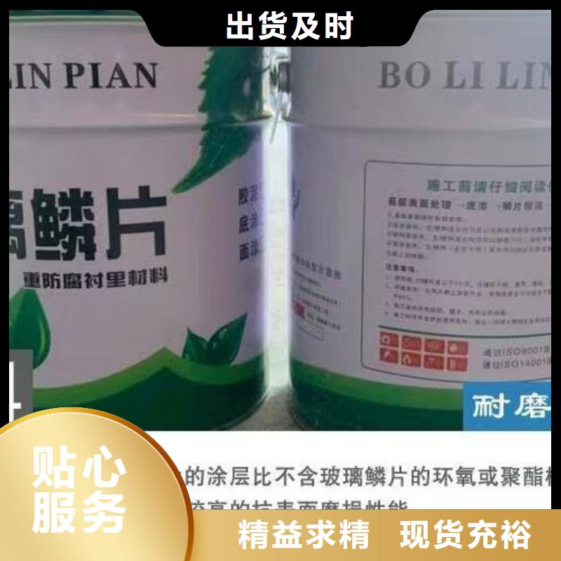 玻璃鳞片胶泥,乙烯基玻璃鳞片胶泥一致好评产品