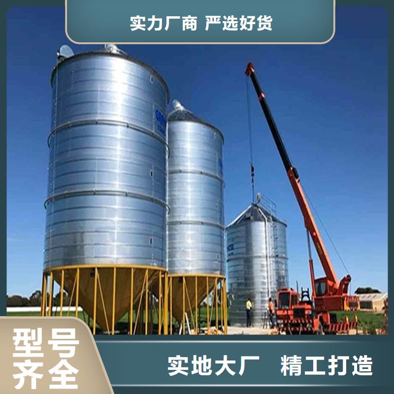 大型立式粮食筒仓_大型立式粮食筒仓公司