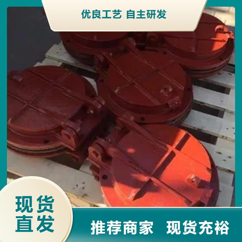 拍门-球墨铸铁闸门可定制