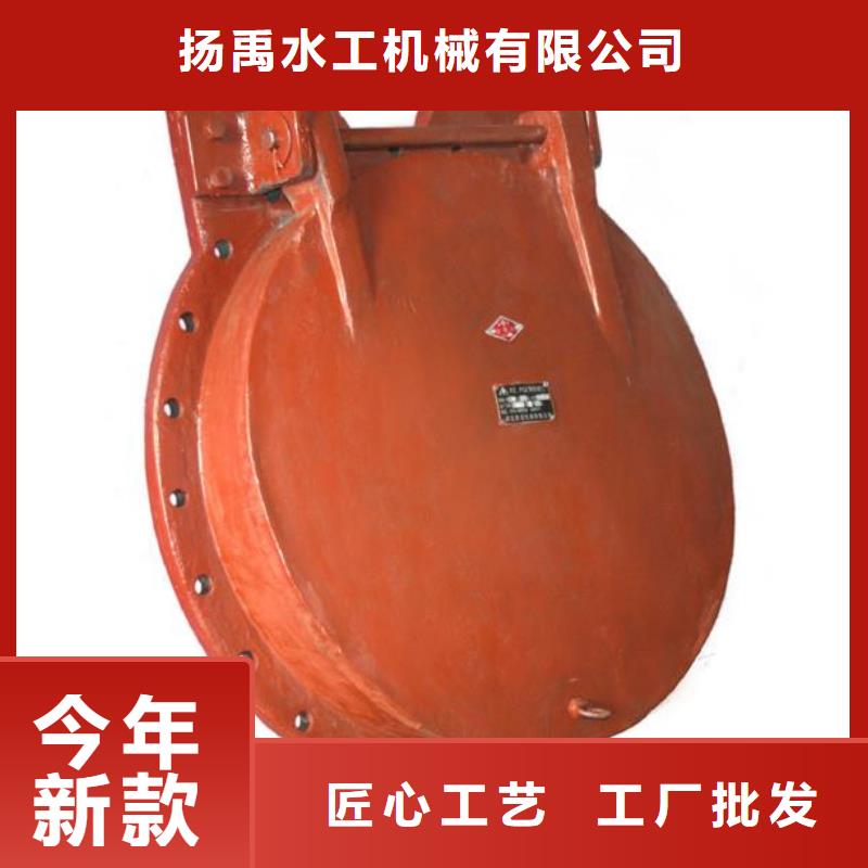 拍门双向止水闸门好产品好服务