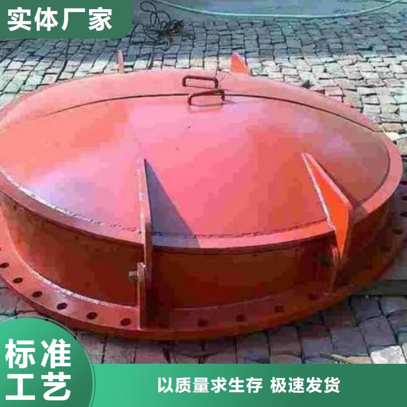 拍门双向止水闸门好产品好服务
