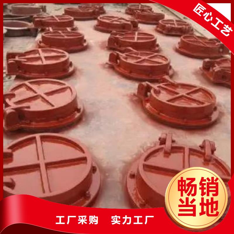 拍门双向止水闸门好产品好服务