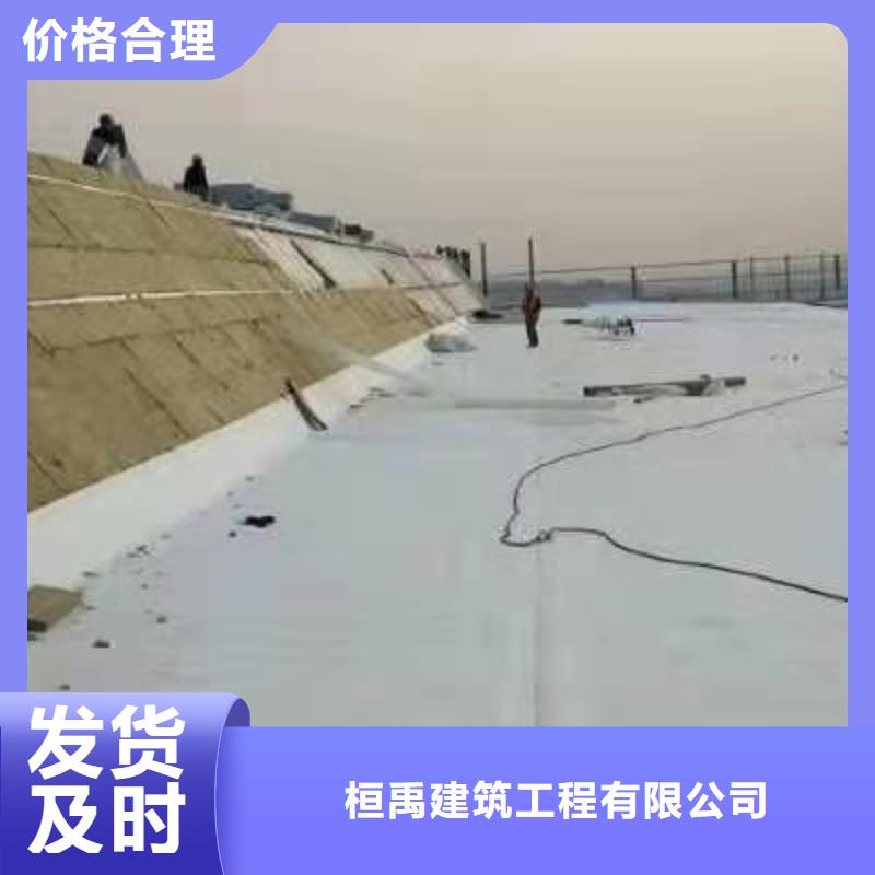 PVC_TPO防水卷材低价货源
