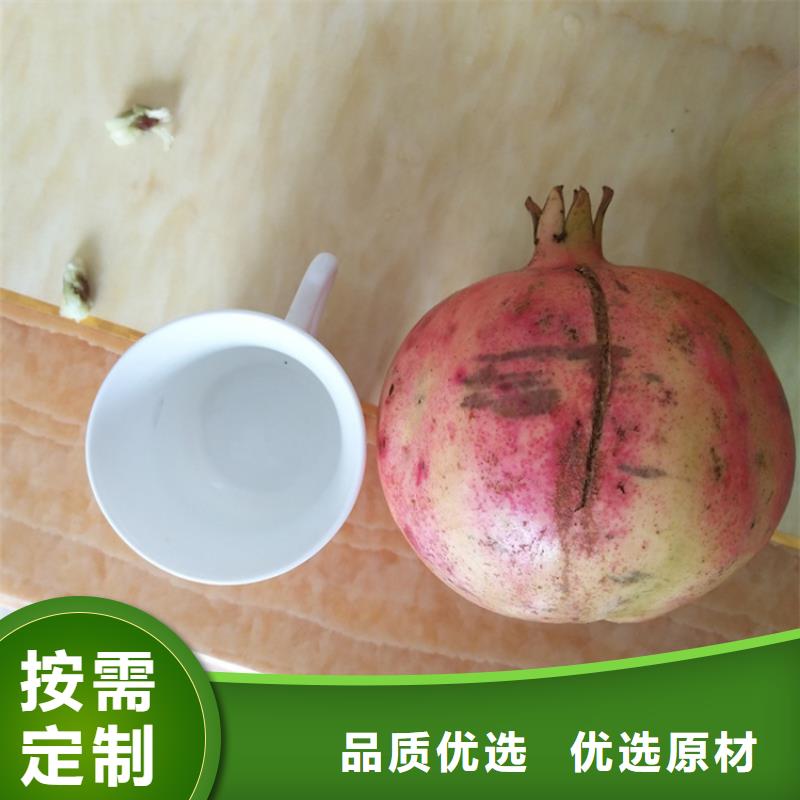 石榴樱桃苗物美价优