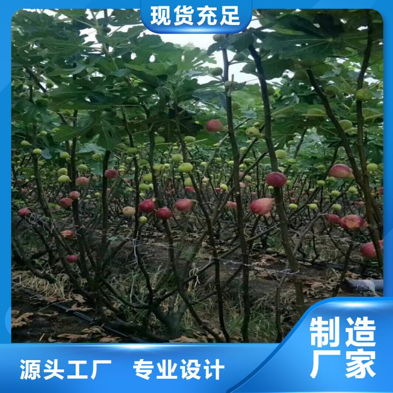 无花果奶油草莓可定制有保障