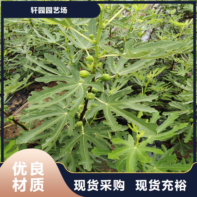 无花果奶油草莓可定制有保障