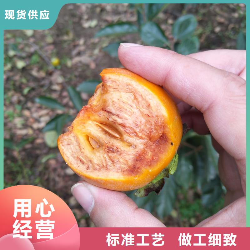 柿子葡萄苗注重细节