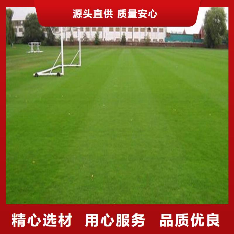 人造草坪专业按需定制