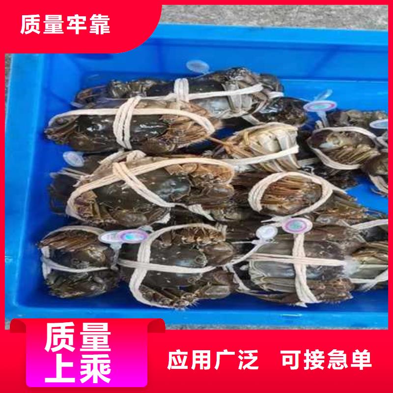 阳澄湖大闸蟹哪家好