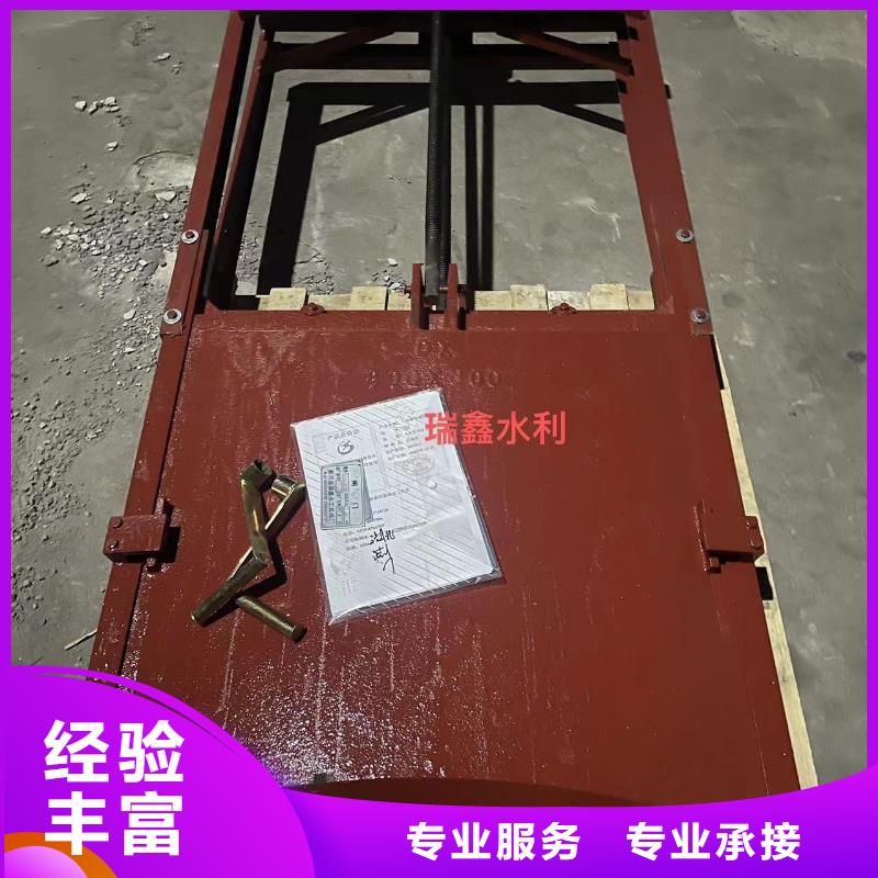 双向铸铁镶铜闸门