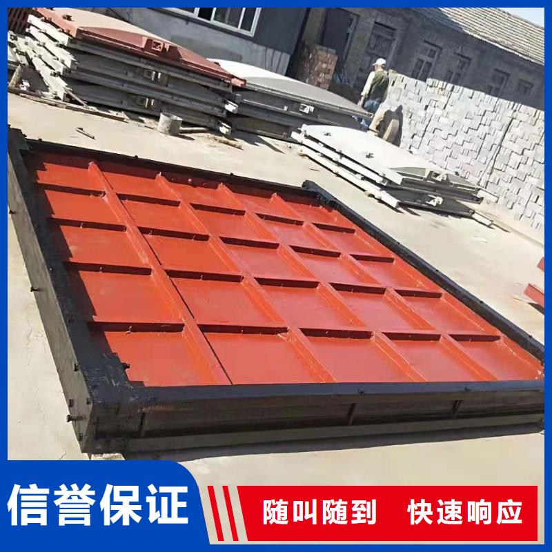 购买(瑞鑫)PZ平板平面铸铁闸门厂家供应