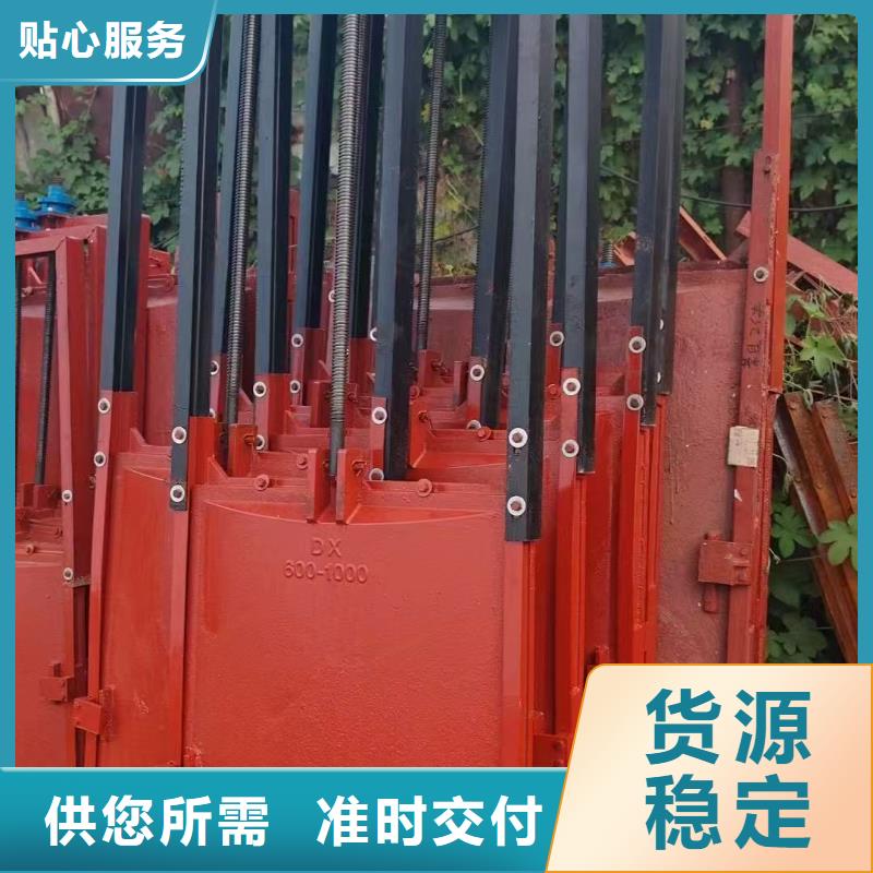 PGZ型铸铁闸门厂家