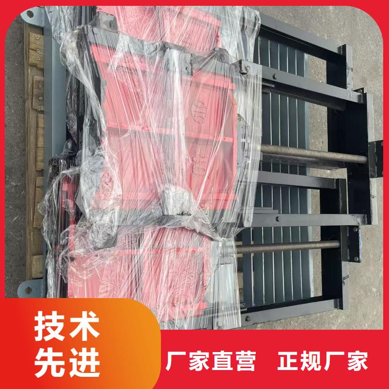 铜止水铸铁闸门板