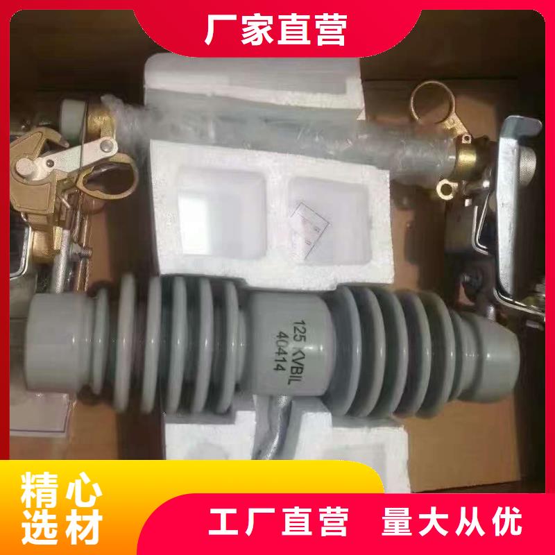 熔断器金属氧化物避雷器厂家直销供货稳定