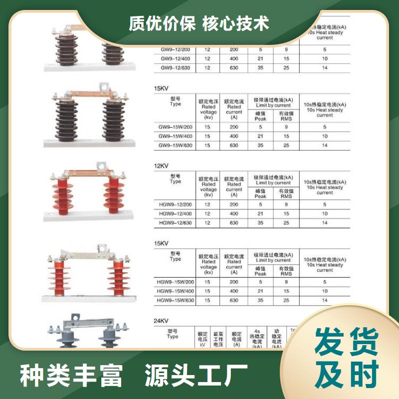 高压隔离开关真空断路器支持大批量采购