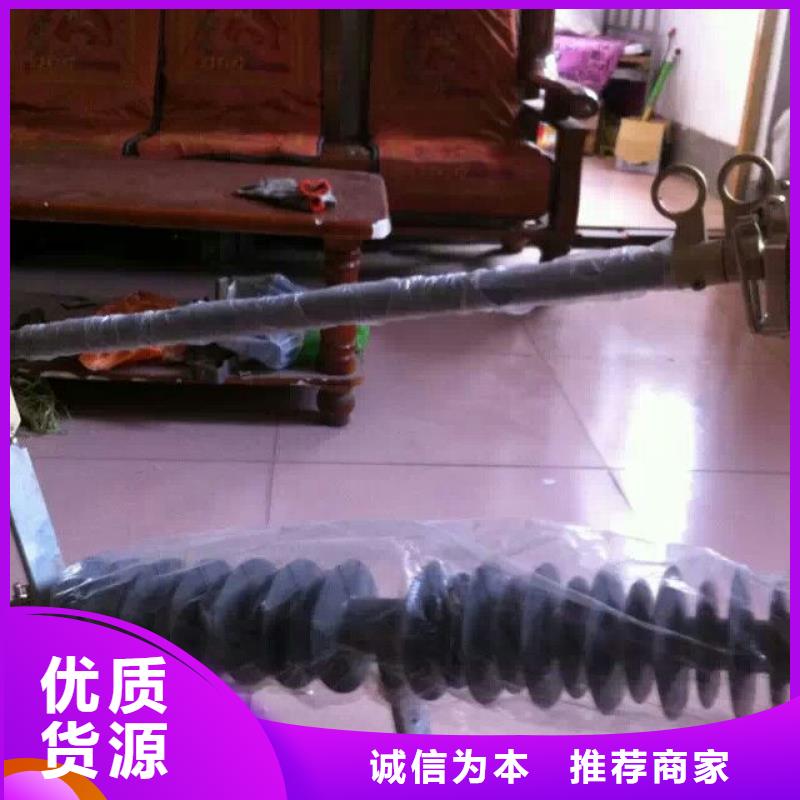 熔断器跌落式熔断器支持批发零售