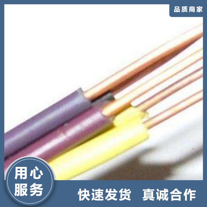 特种电缆屏蔽电缆用心服务