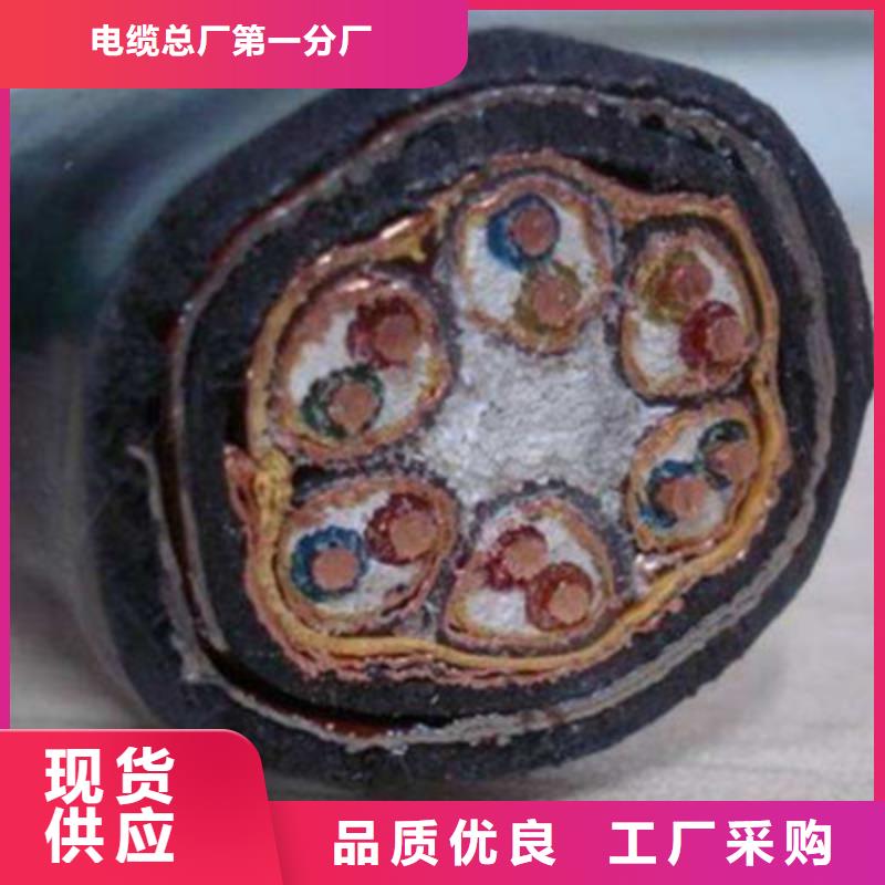 【计算机电缆信号电缆加工定制】