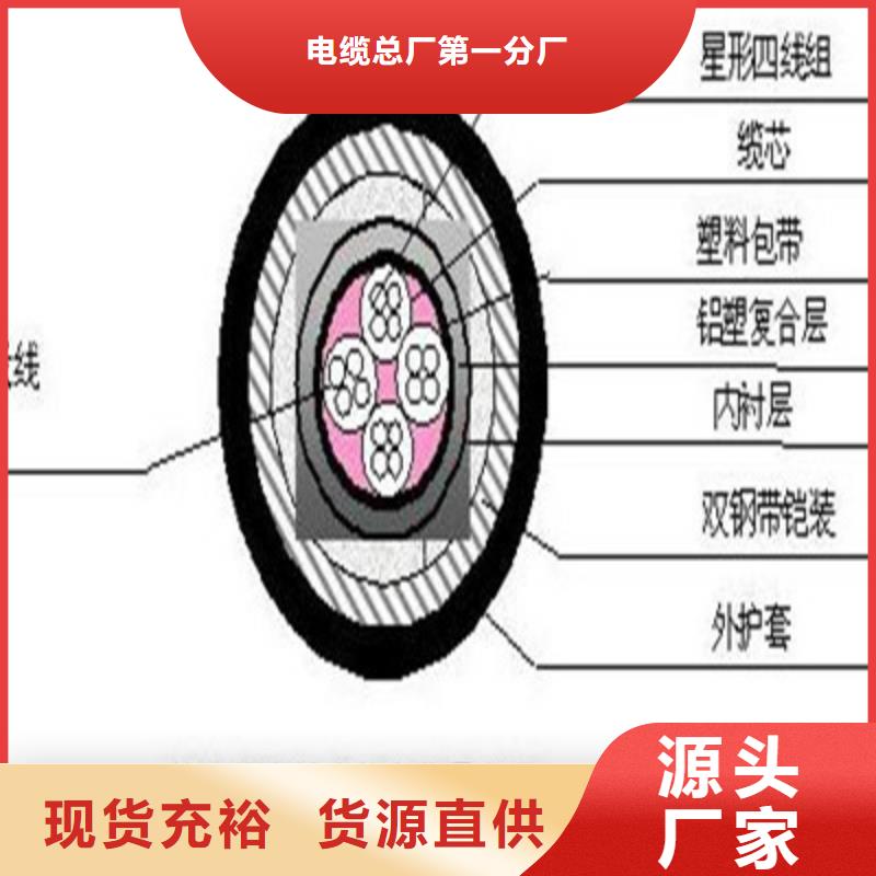 【铁路信号电缆屏蔽电缆快速生产】