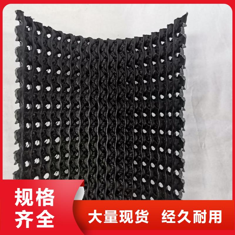 硬式透水管HDPE土工膜厂家精选