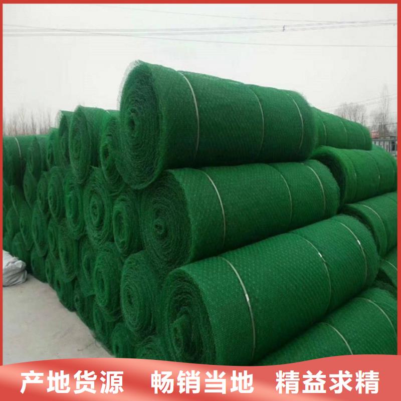 三维植被网保湿布今年新款
