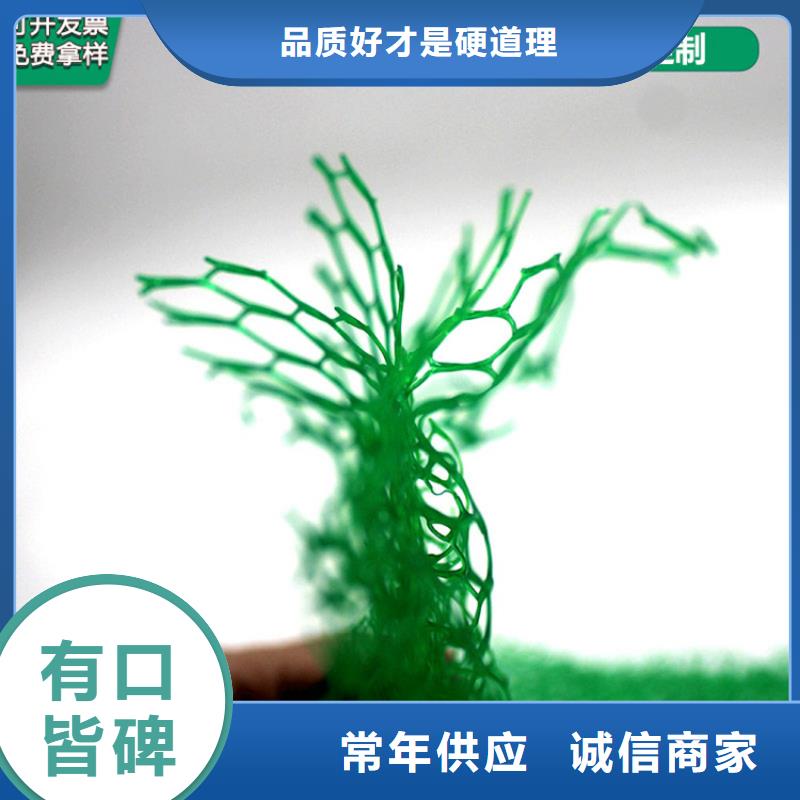 三维植被网土工布实力优品