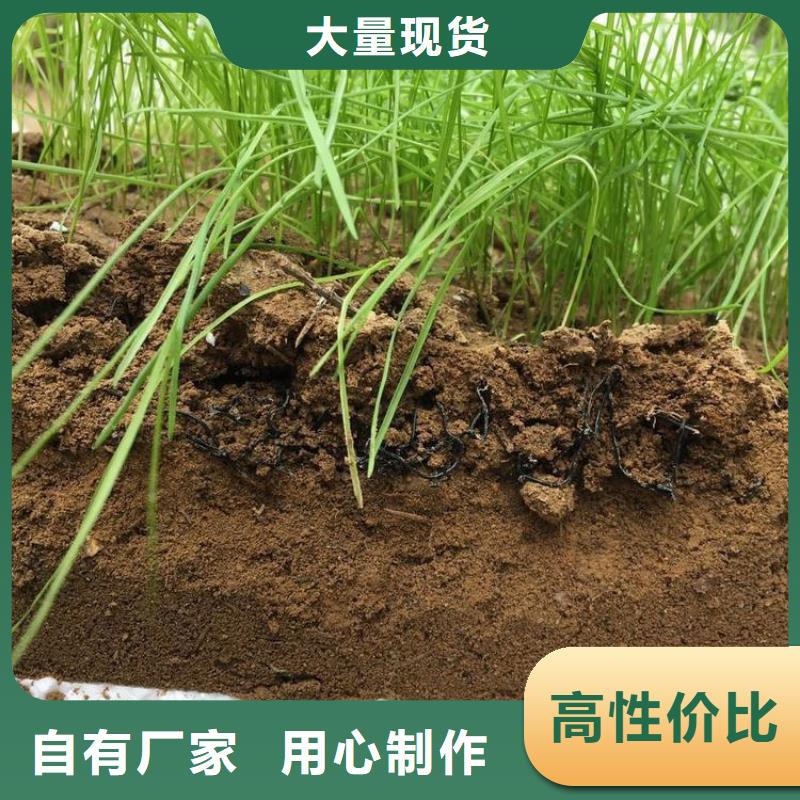 【水土保护毯【抗裂贴】实体厂家支持定制】