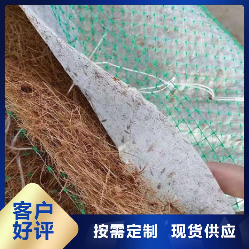 椰丝毯-防渗膜价格公道合理