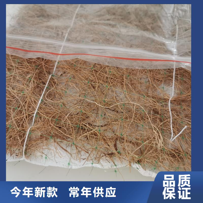 椰丝毯-防渗膜价格公道合理