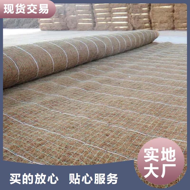 椰丝毯植草格制造厂家