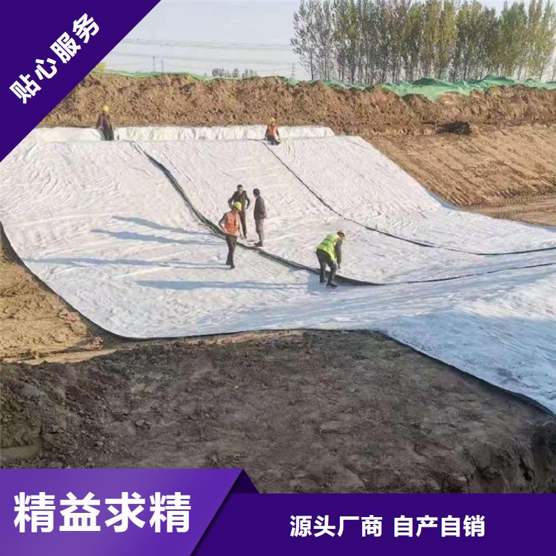 【膨润土防水毯】土工膜当日价格