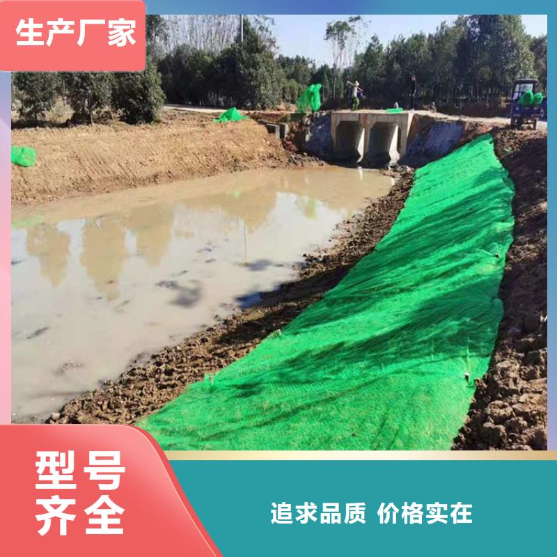 三维植被网-【双向塑料土工格栅】实体诚信厂家