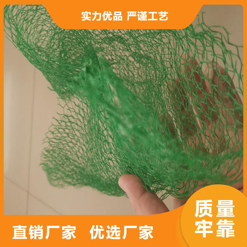 三维植被网HDPE复合排水板质量优选