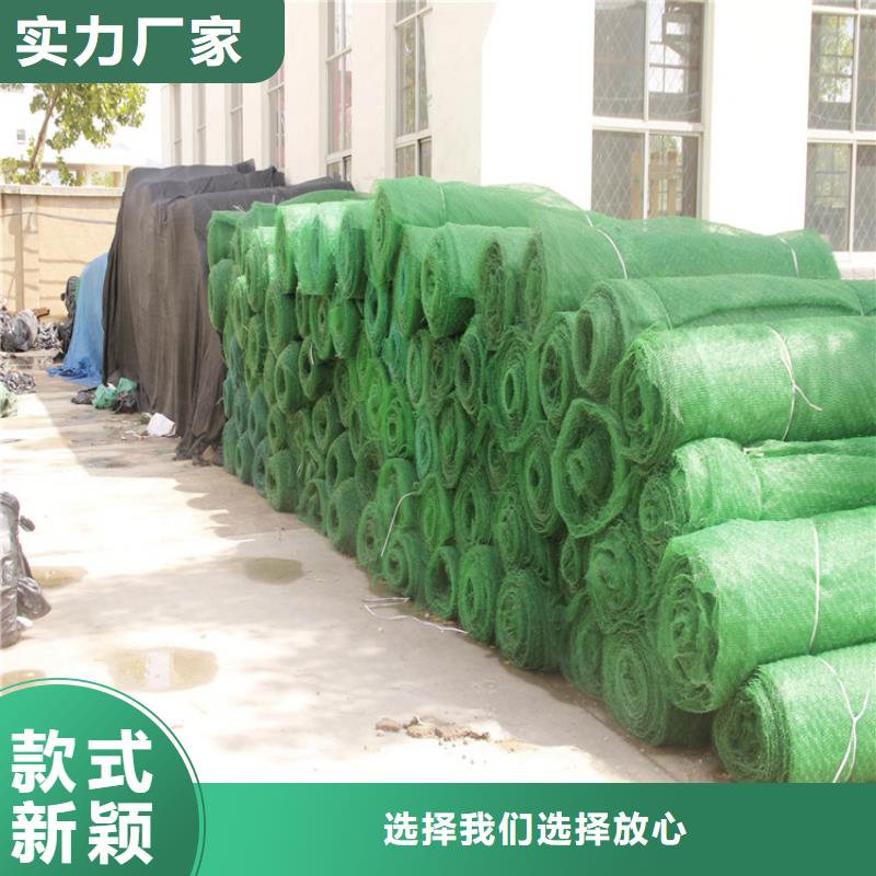 三维植被网双向塑料土工格栅当日价格