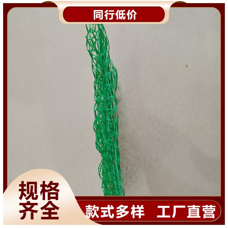 【三维植被网土工布工厂批发】