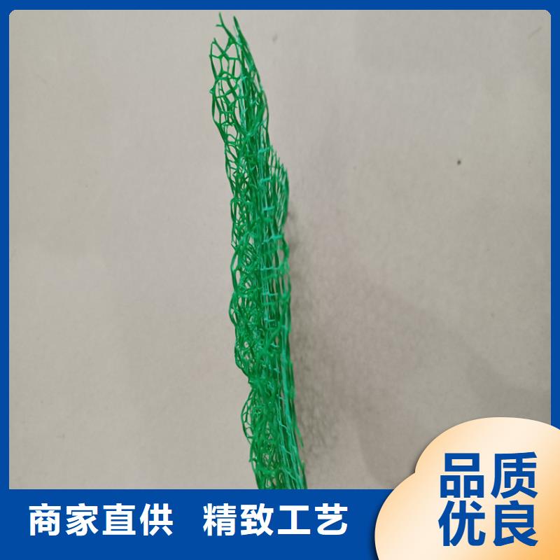 【三维植被网膨润土防水毯源头直供】