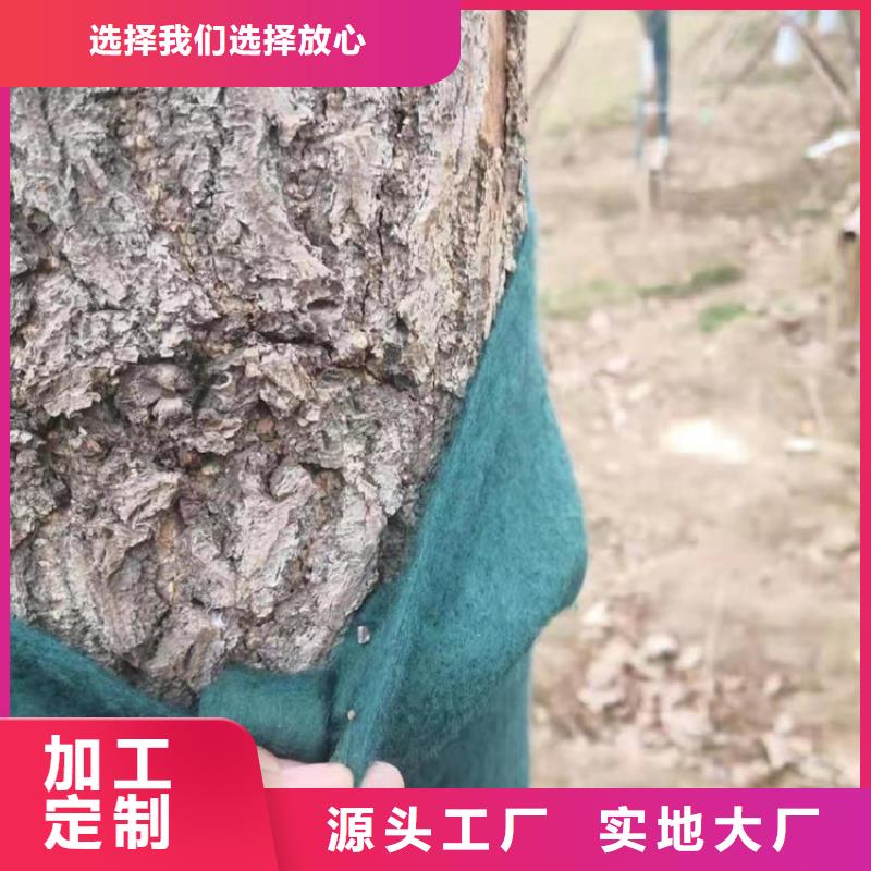 裹树布防渗膜厂家销售