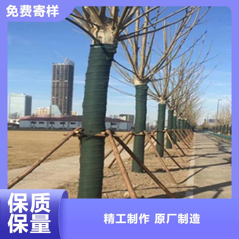 裹树布-双向土工格栅专注质量