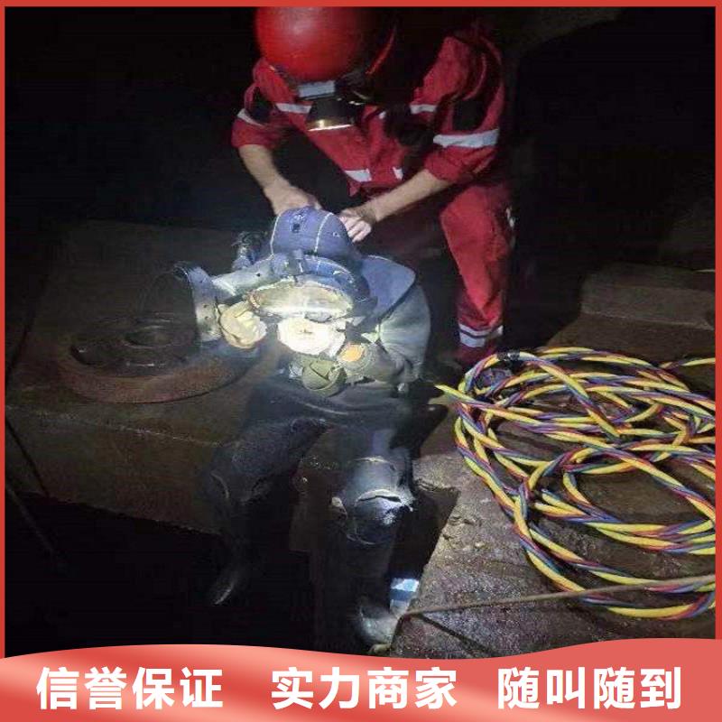 水下录像电话厂家直接报价