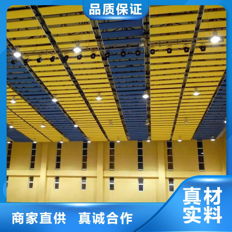 黑龙江省精工细作品质优良《凯音》集团公司体育馆吸音改造价格--2024最近方案/价格